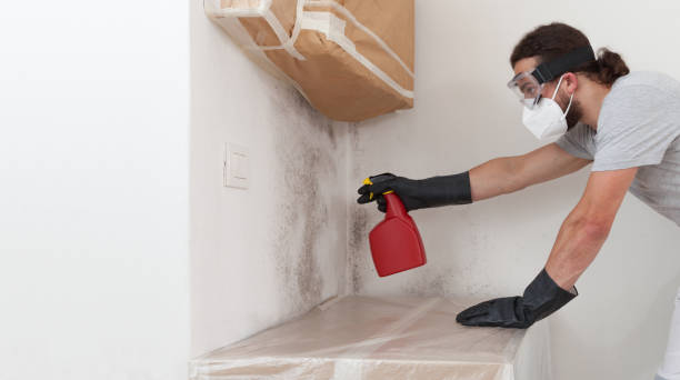 Professional Bathroom Mold Removal technician working in Harrison, MI