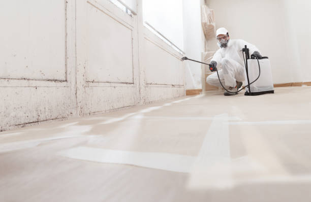 24/7 Emergency Bathroom Mold Removal experts in Harrison, MI