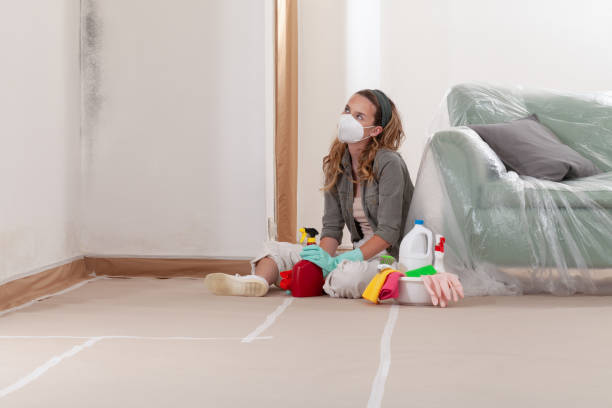 Reliable Bathroom Mold Removal contractor in Harrison, MI by 24 Hour Mold Removal