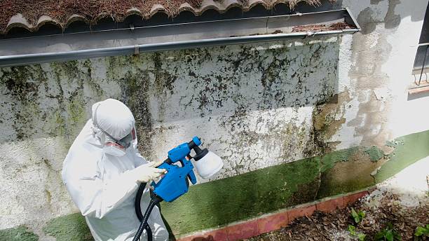 Top rated local Bathroom Mold Removal specialists in Harrison, MI